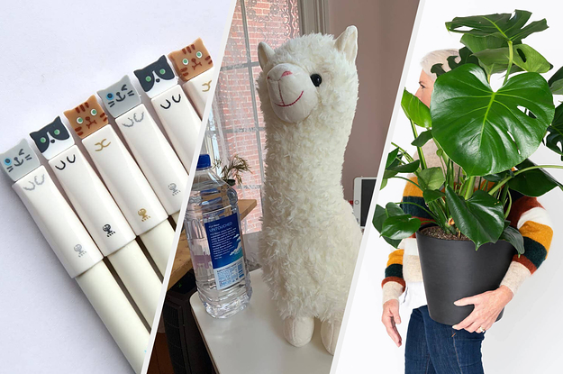 L: cat pens M: stuffed white llama R: model holding large monstera plant