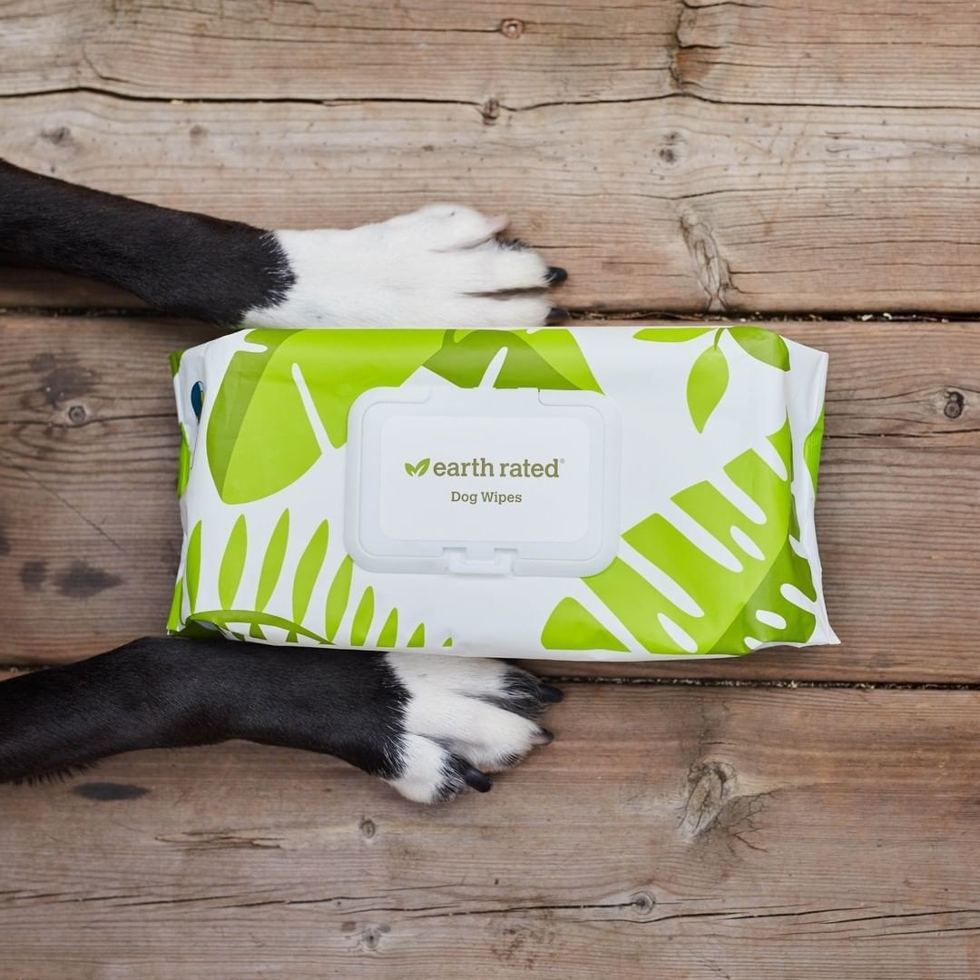 A package of the wipes between two dog paws