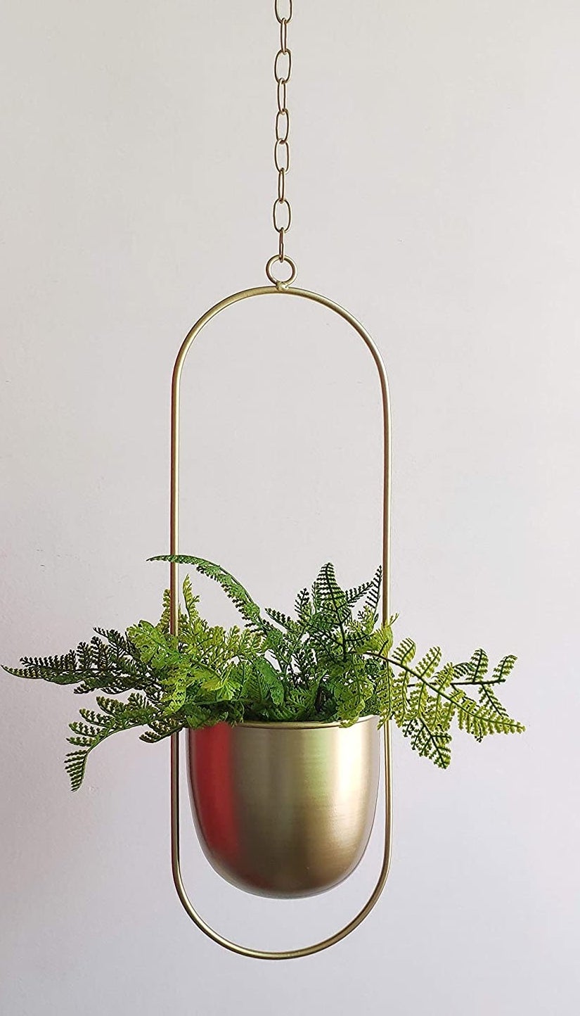 a plant inside of the hanging metal planter 