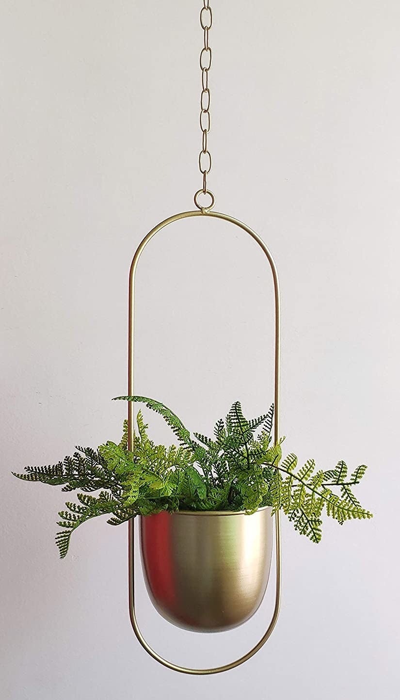 a plant inside of the hanging metal planter 