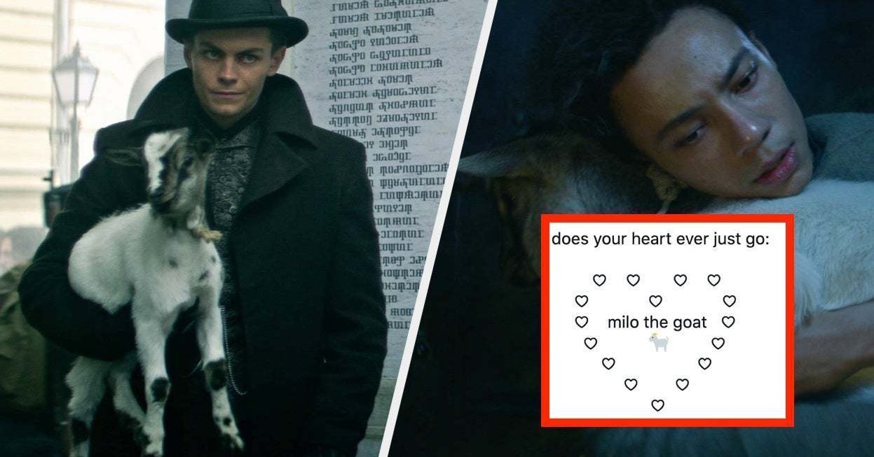 Shadow And Bone Milo The Goat Appreciation Teazilla