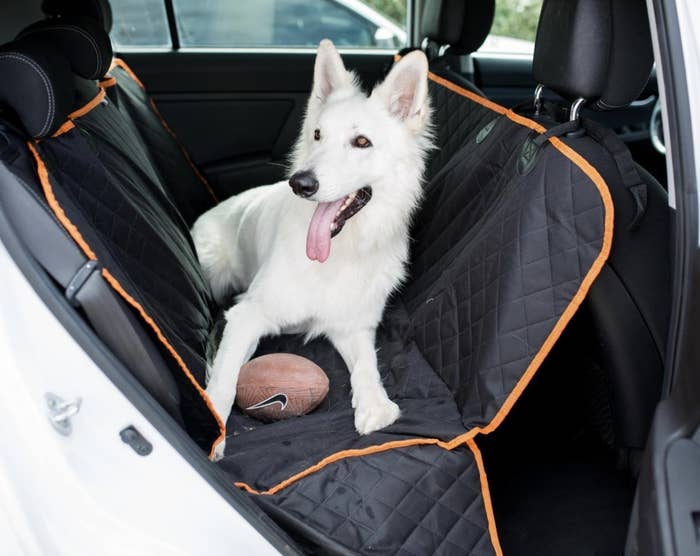 A dog in a beat seat with a cover 