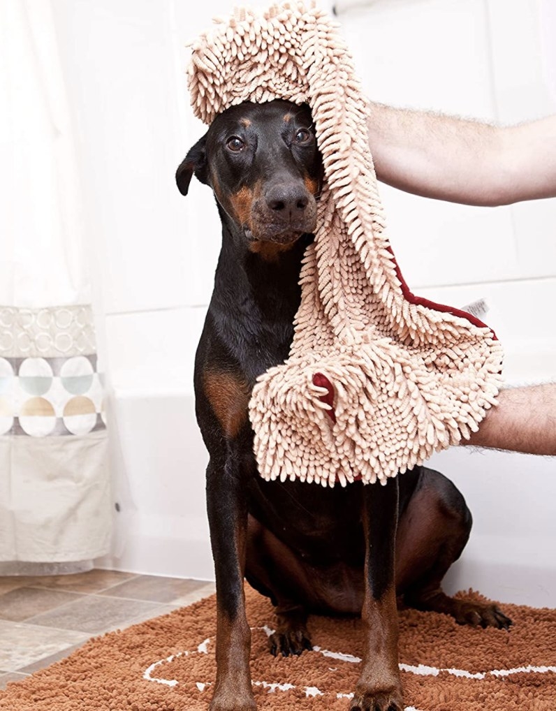 A person drying a dog with the beige towel
