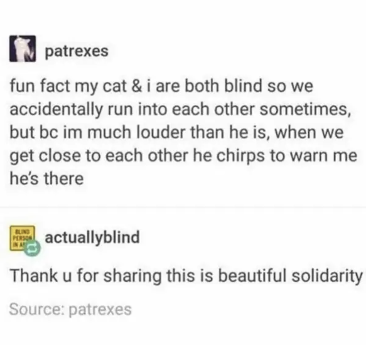 tumblr story about a blind person and a blind cat having each other's backs