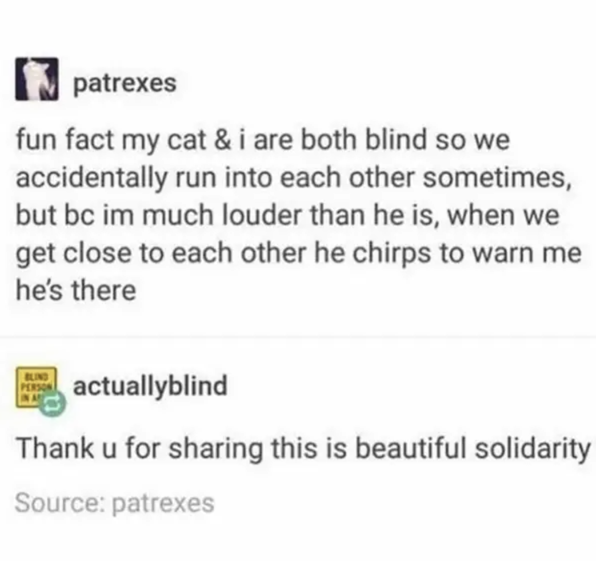 tumblr story about a blind person and a blind cat having each other&#x27;s backs