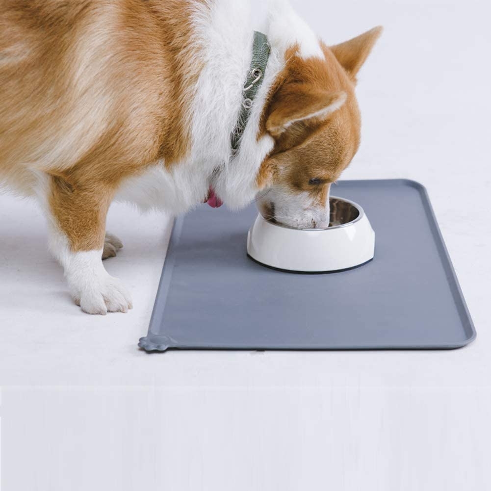 A pet eats from a bowl on the mat