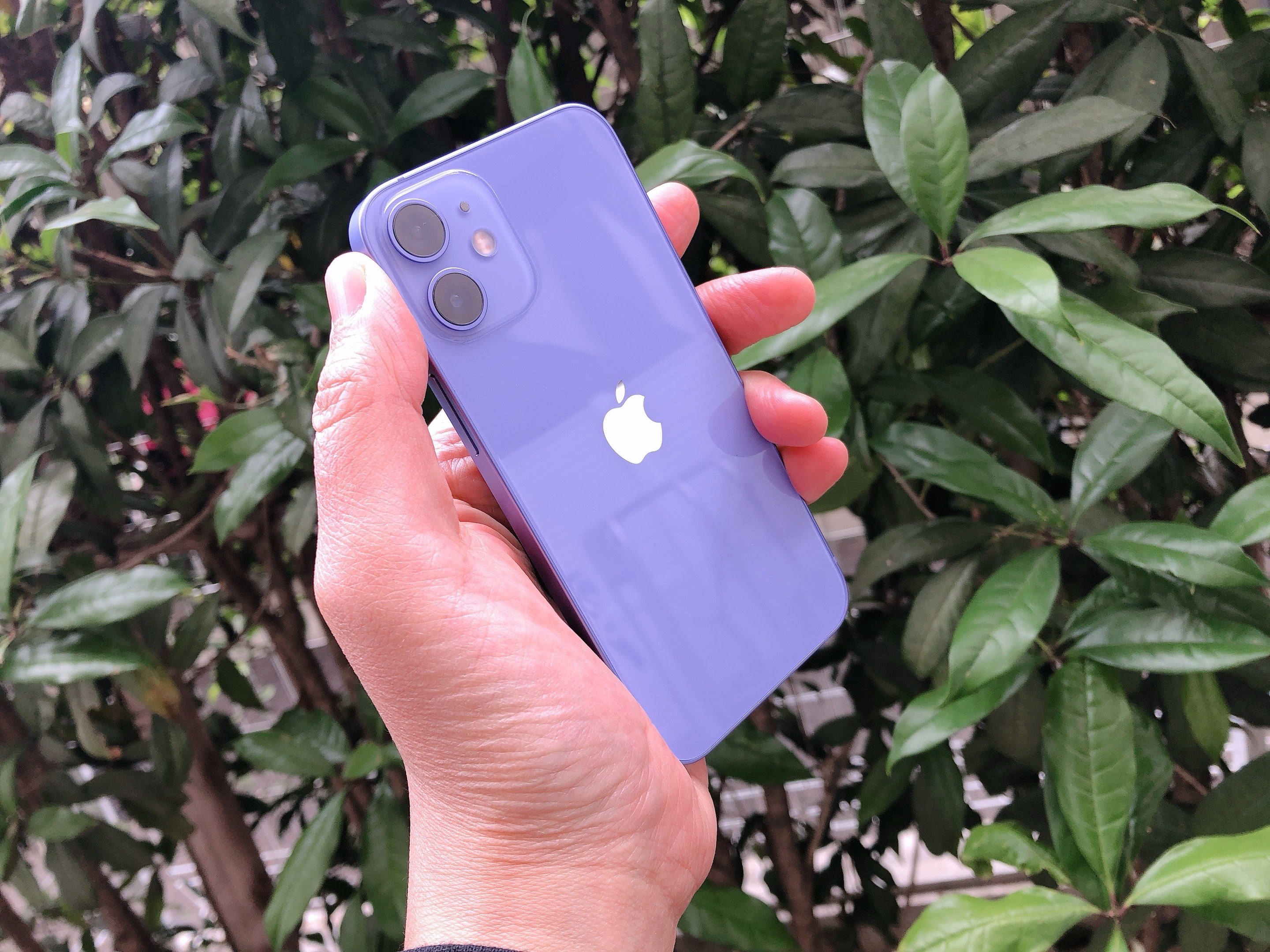 iPhone12の新色は上品なのにかわいい「パープル」！これはスマホケース