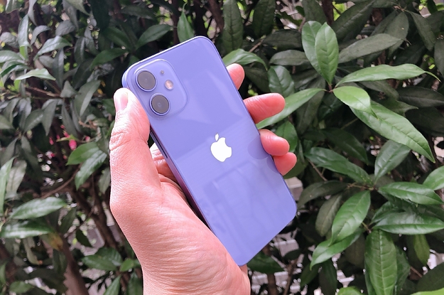 iPhone12の新色は上品なのにかわいい「パープル」！これはスマホケース