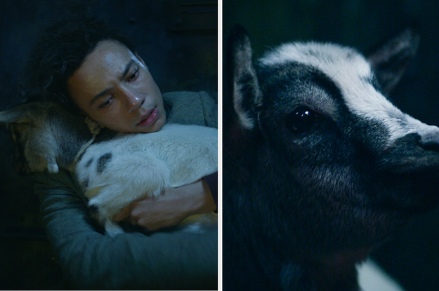 17 Tweets About Milo The Goat From "Shadow And Bone" That Are Absolutely Flawless
