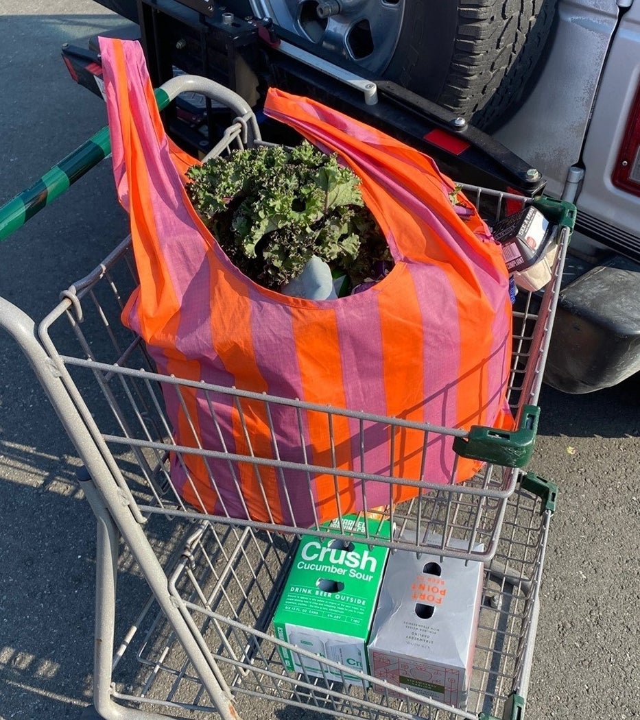 The bag in the top of a shopping cart