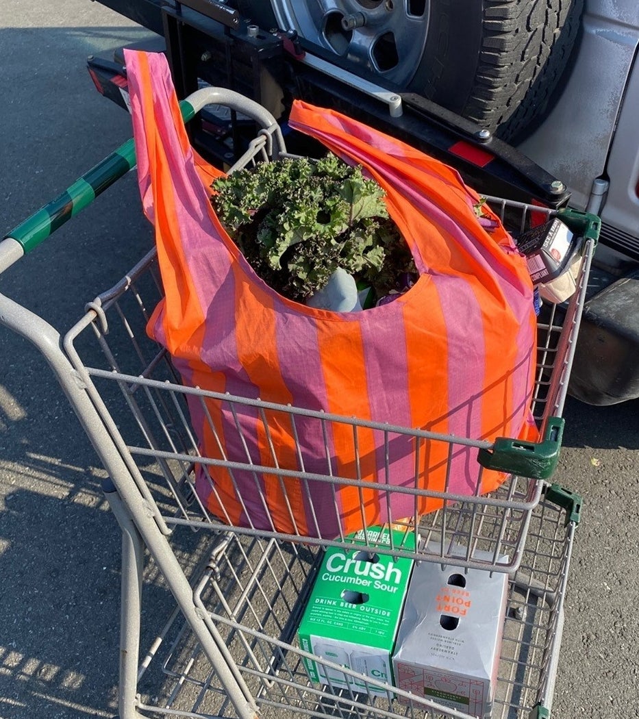 The bag in the top of a shopping cart