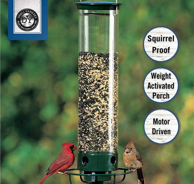 a tube-like bird feeder with a round perch around it