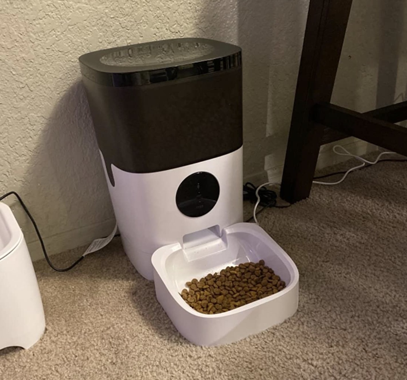 kibble dispensed onto a tray attacked to the automatic cat feeder