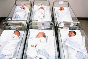Newborn babies in a nursery