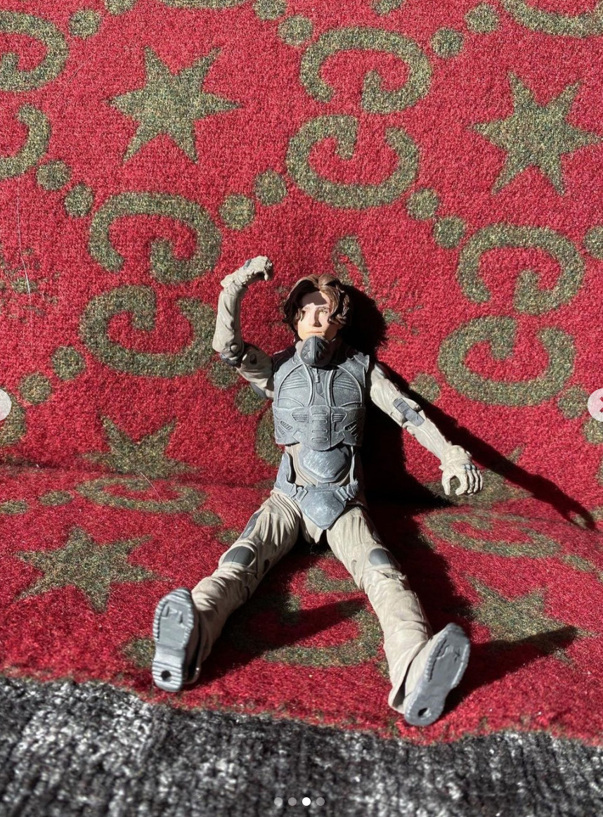 Chalamet&#x27;s action figure sitting on the couch