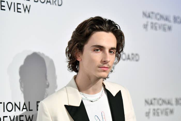 Timothee Chalamet at the National Board of Review Gala in January 2020