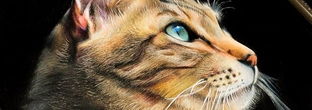 天才現る 高校生が色鉛筆で描いたネッコが ほぼ写真なんだが