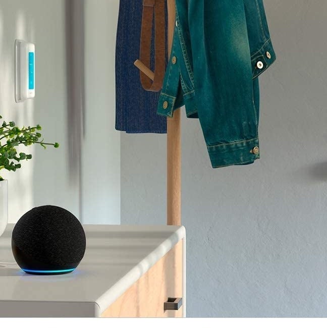 the Amazon Echo Dot