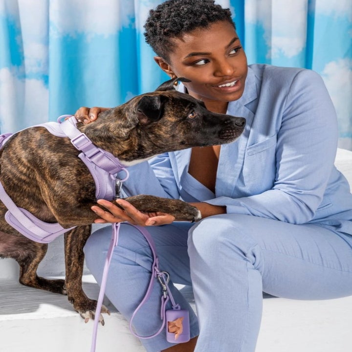 The Wild One Harness Walk Kit in Action