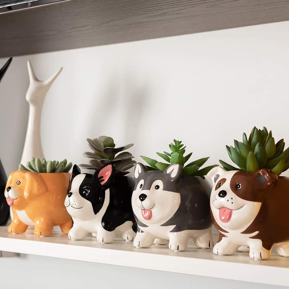The four plant pots with succulents in them on a shelf