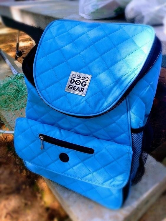 Reviewer&#x27;s picture of the backpack in blue