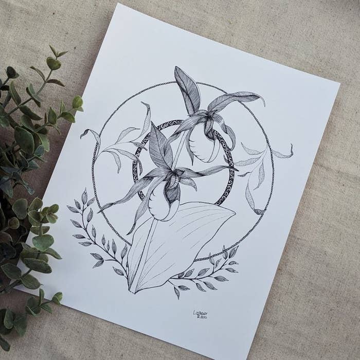 The black and white print of Lindsey Ross&#x27;s illustration that displays PEI&#x27;s provincial flower, the lady&#x27;s slipper 