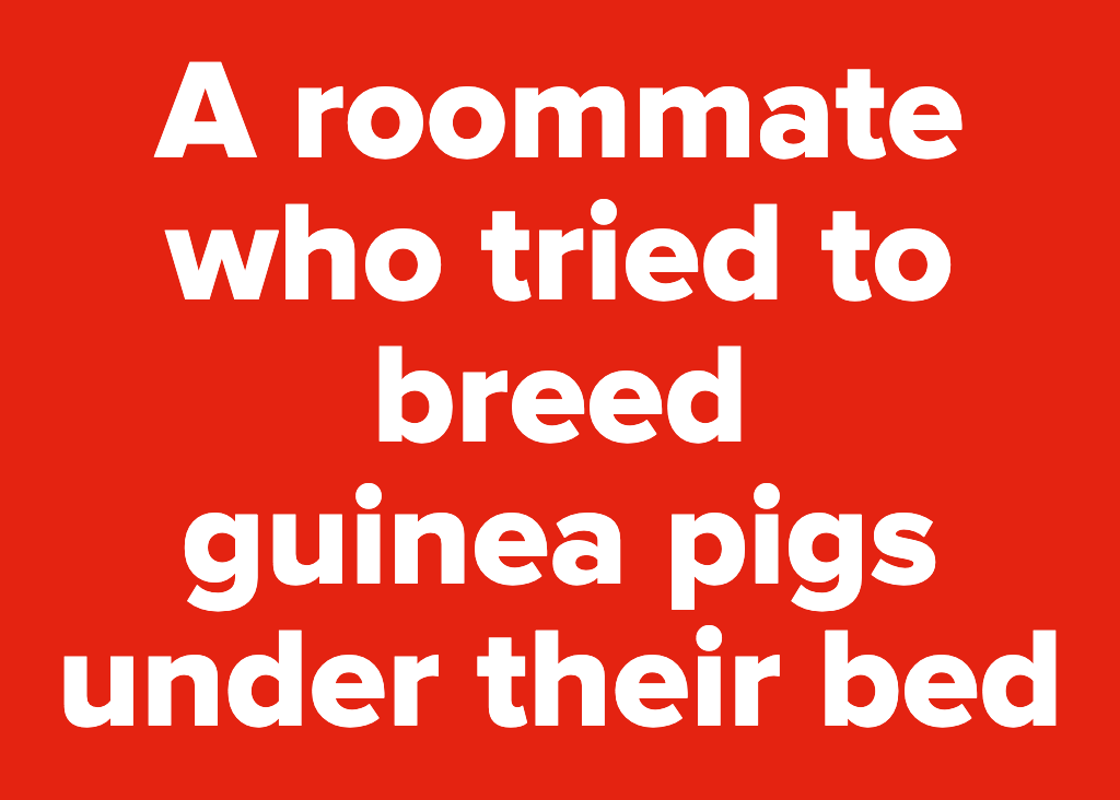 Bad Roommate "Would You Rather" Quiz