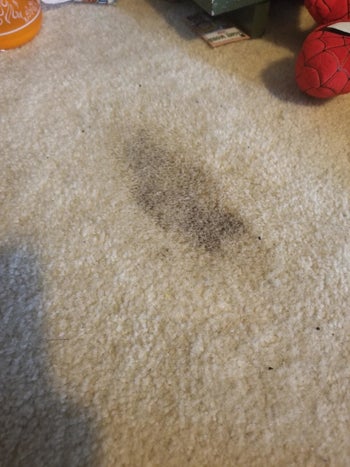 Beige carpet with a brownish-gray stain in the middle of the image