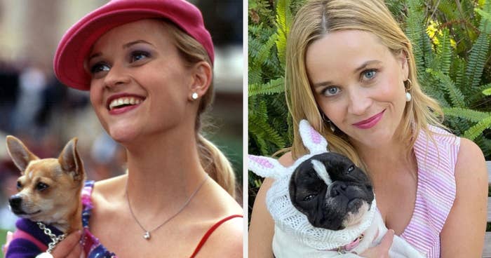 Elle holds her dog on the left and Reese holds her dog, who&#x27;s wearing a bunny costume, on the right