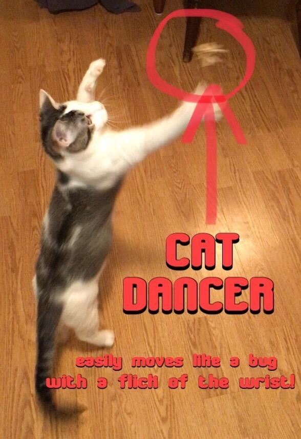 A cat plays with the toy in an image labelled &quot;CAT DANCER, easily moves like a bug with a flick of the wrist!&quot;