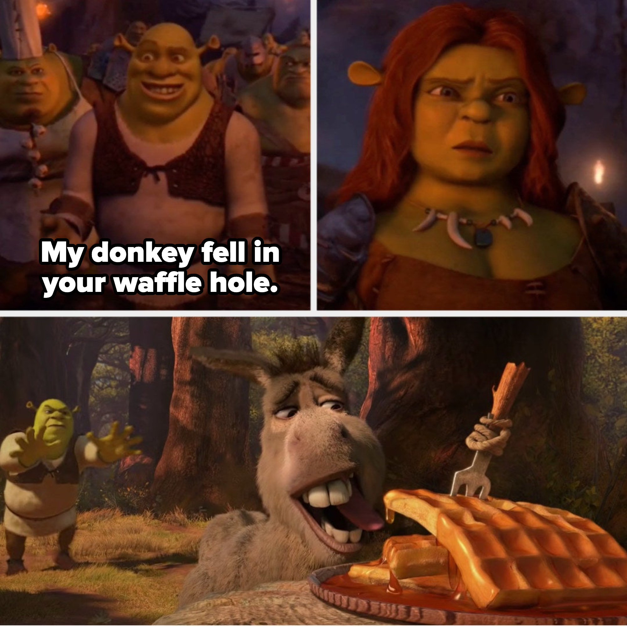 Shrek and Fiona  Explain a film plot badly, Shrek memes, Famous