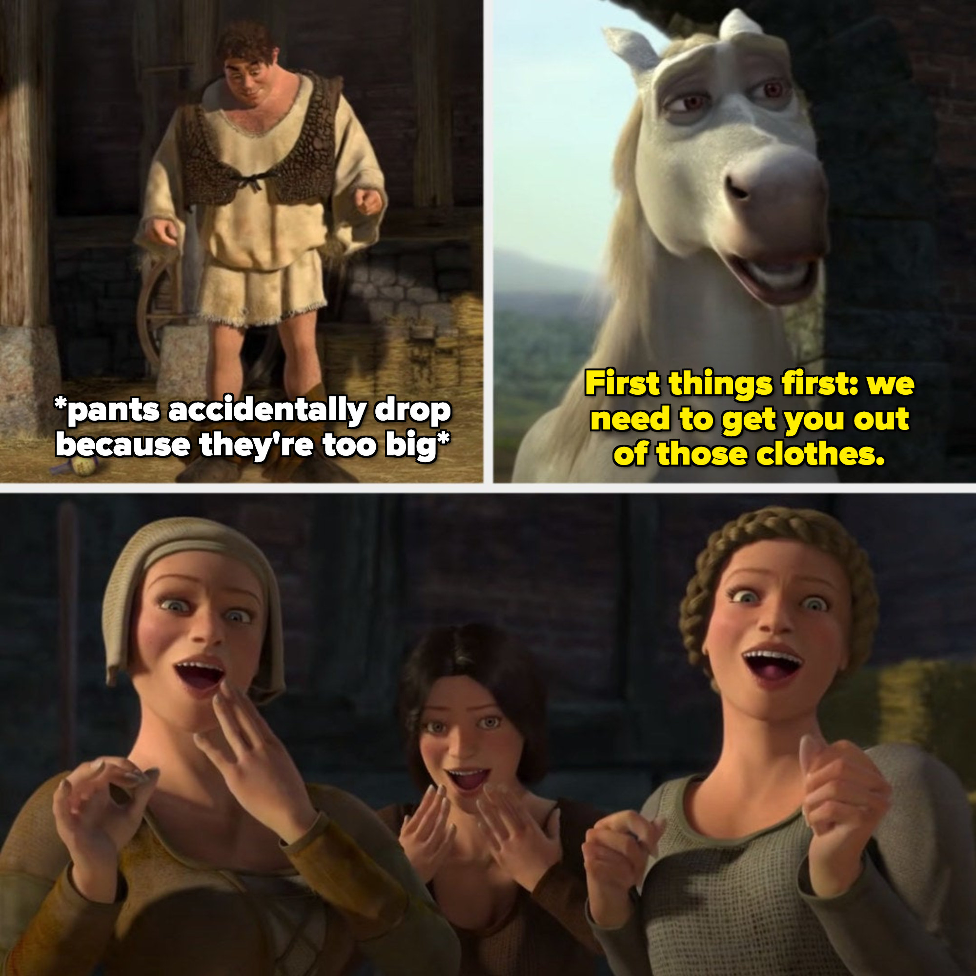 Shrek and Fiona  Explain a film plot badly, Shrek memes, Famous