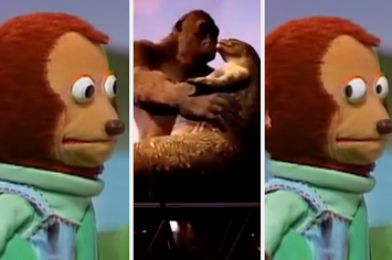 Awkward Monkey Puppet Meme Design Templates