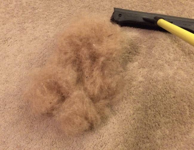 A pile of fur from a carpet next to a pet hair removal broom