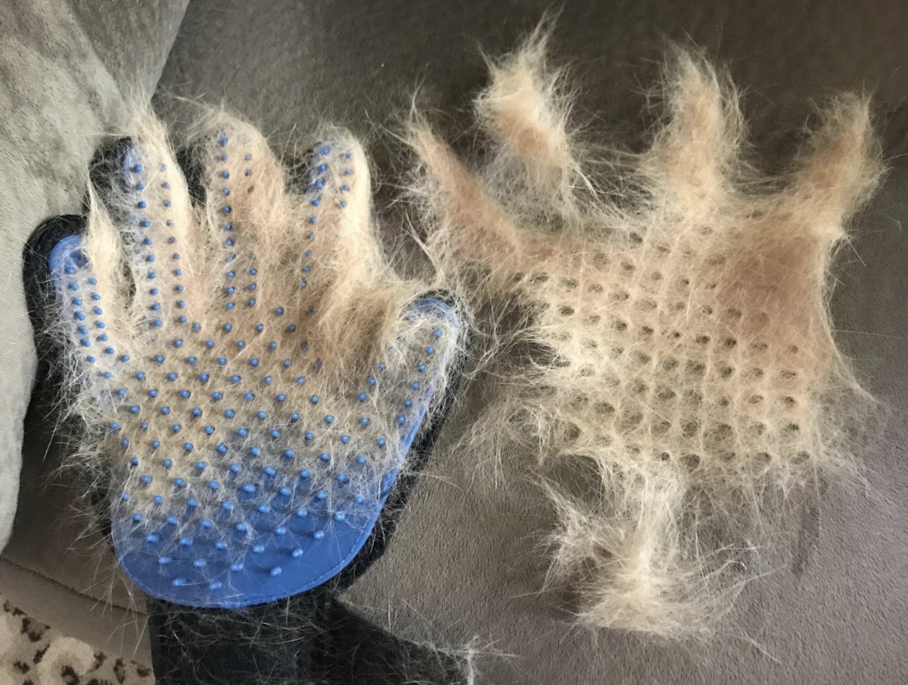 The grooming gloves with cat fur on them, and a big wad of fur to the side that came off