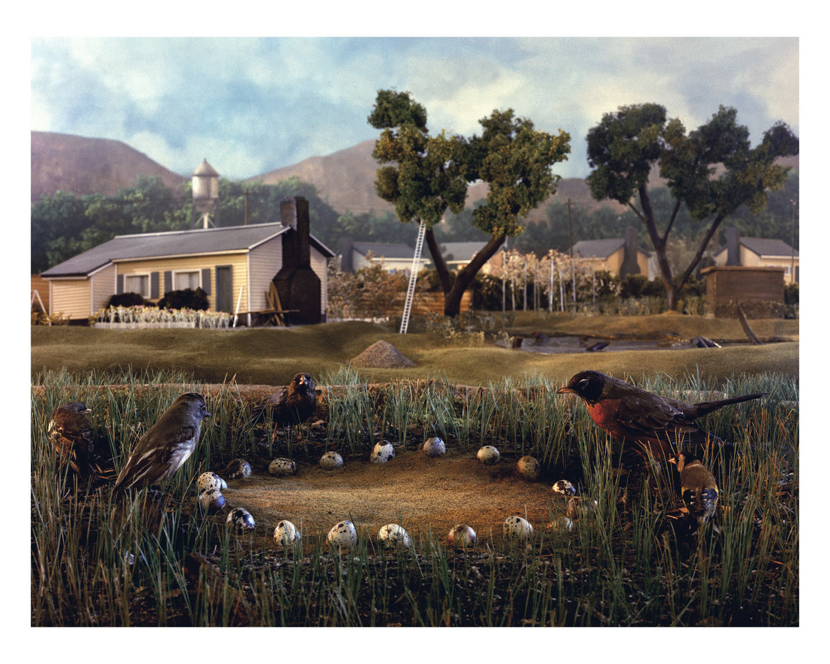 A scene of three robins looking at a ring of eggs, with a farmhouse and farm scene in the background