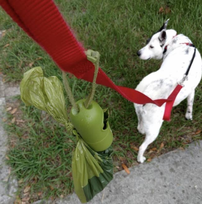 Reviewer photo of a poop bag dispenser with bags attached to a dog's leash