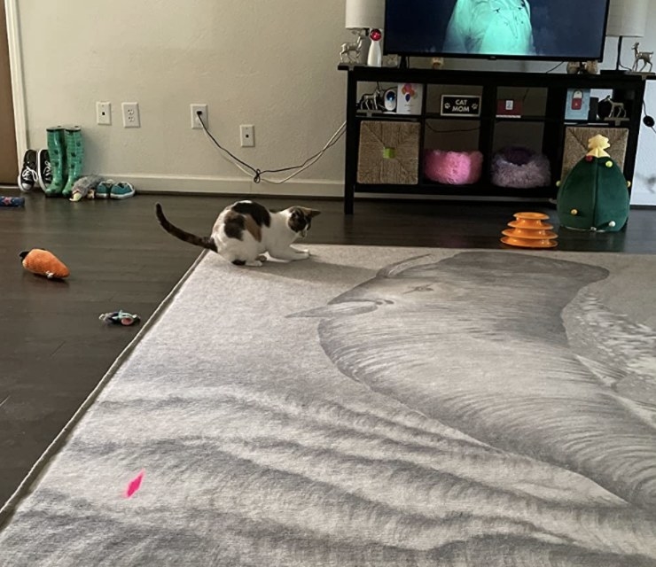 A cat playing with a laser pointer