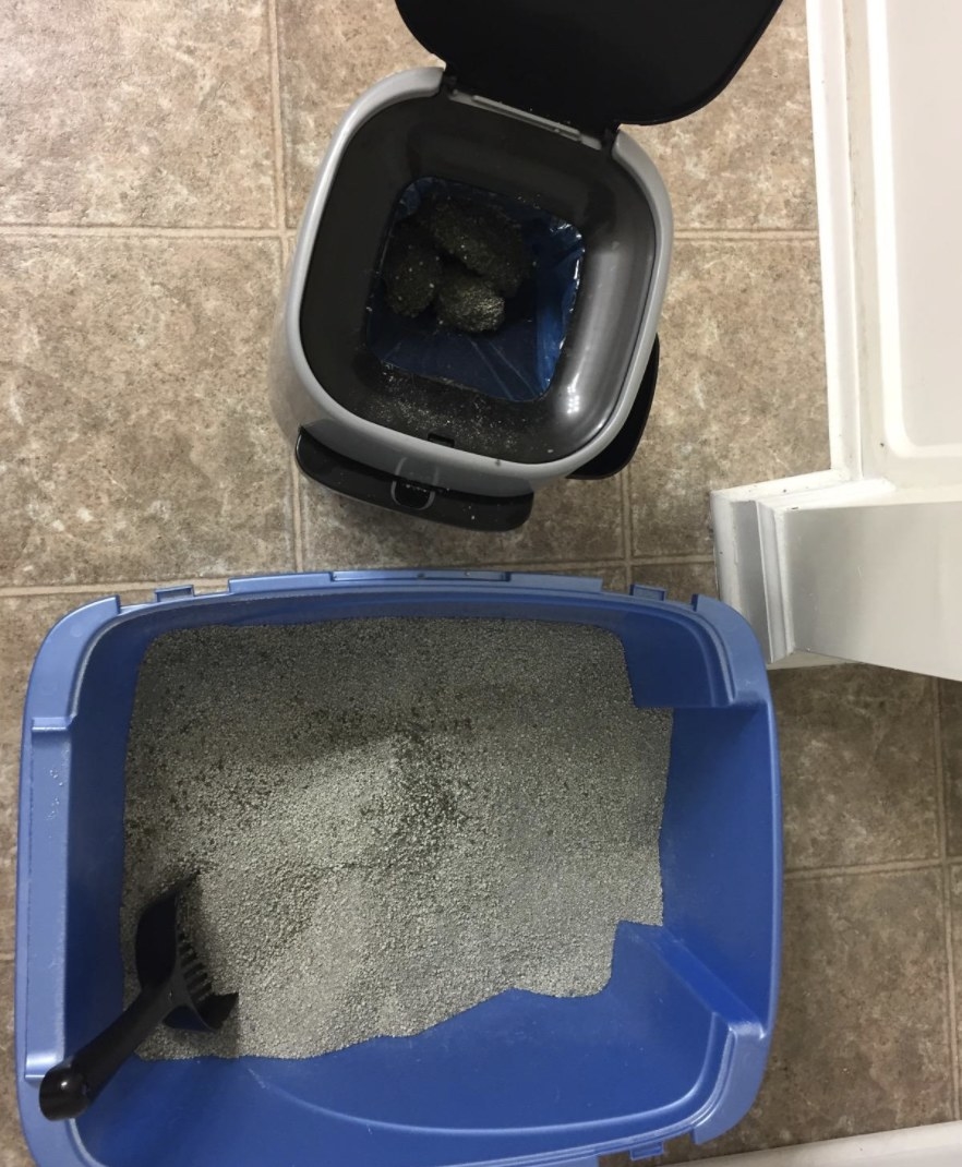 Reviewer photo of the litter genie next to a litter box