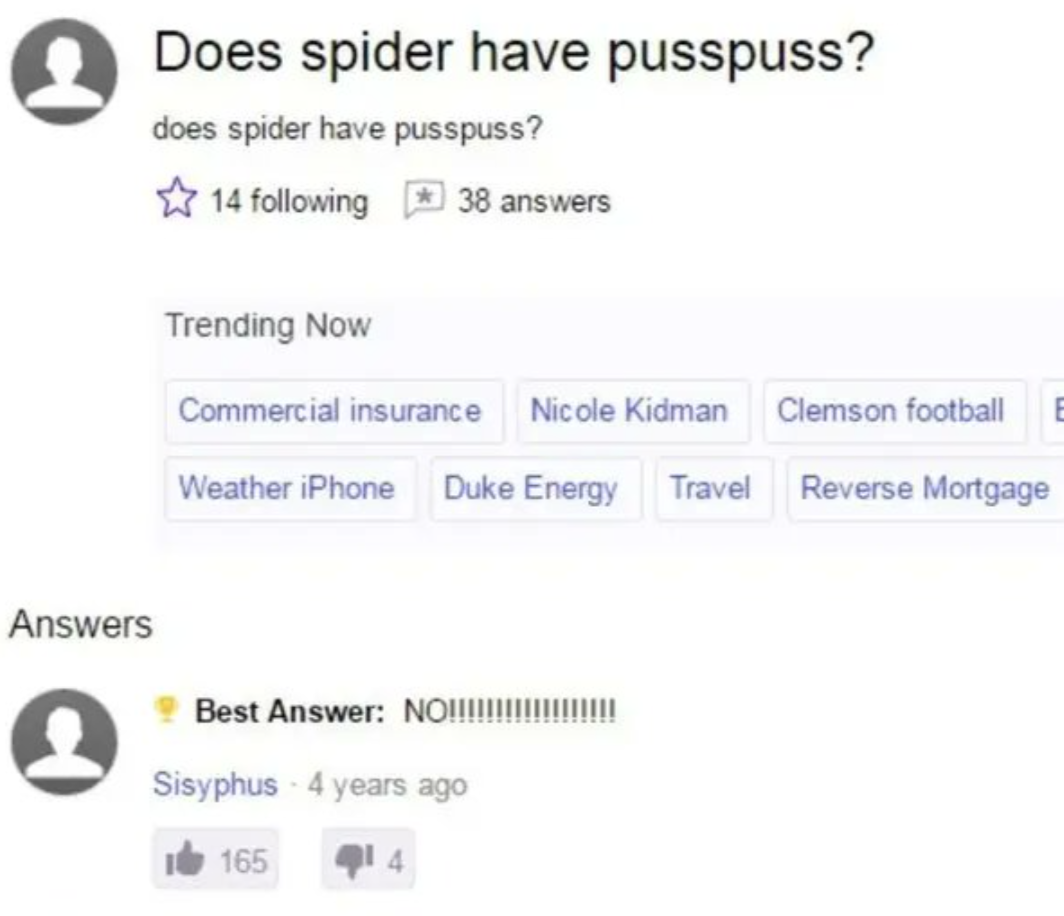 &quot;Does spider have pusspuss?&quot; and the response being &quot;No&quot; with exclamation points&quot;