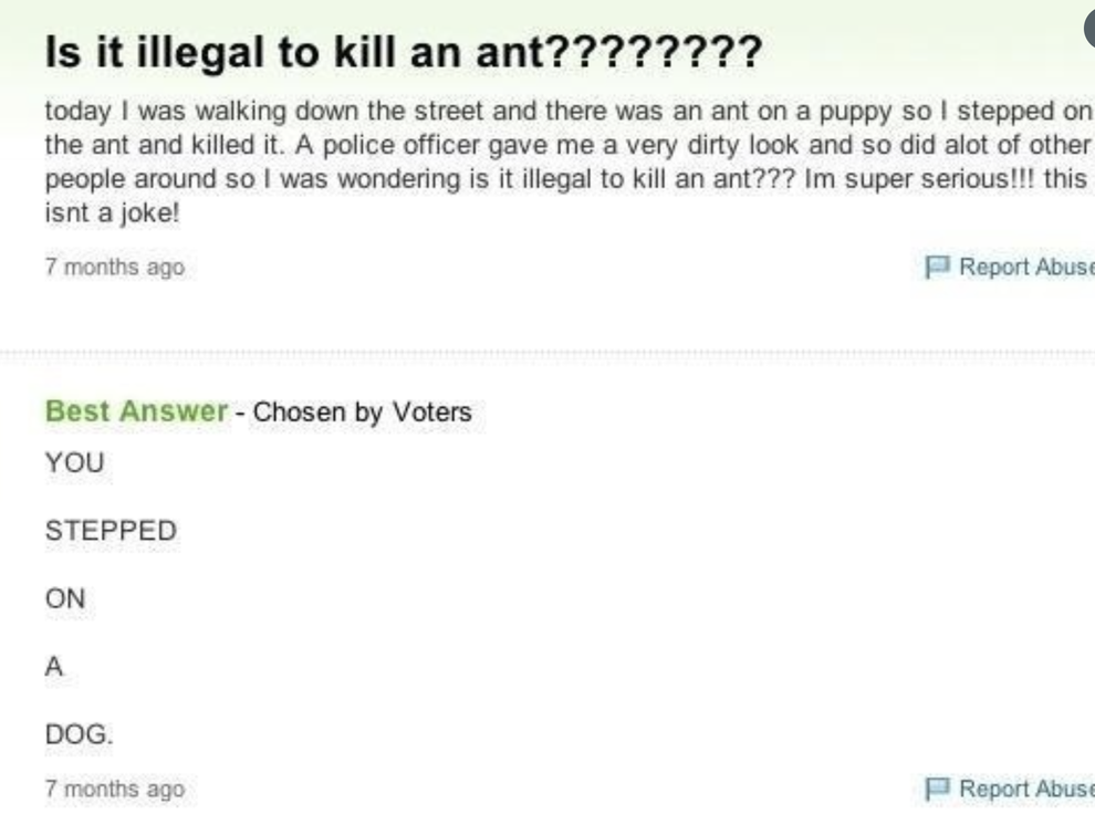 31 Hilarious Yahoo Answers Posts