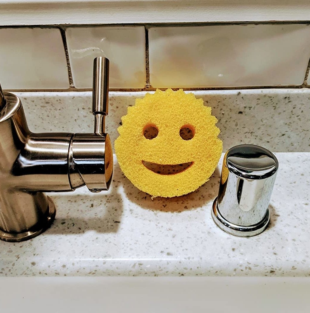 Reviewer photo of Scrub Daddy placed near sink