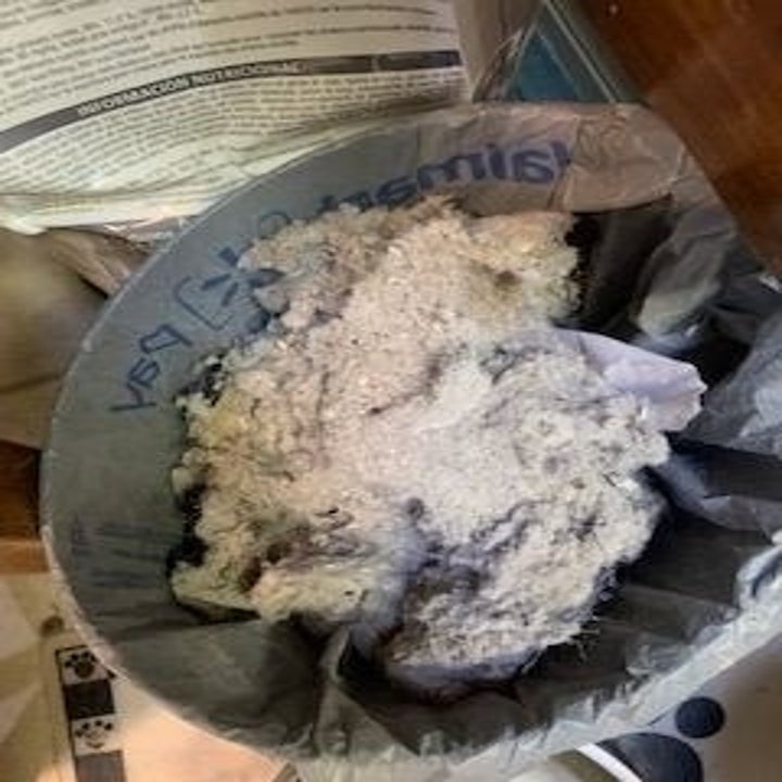 Reviewer's picture of a huge pile of lint 
