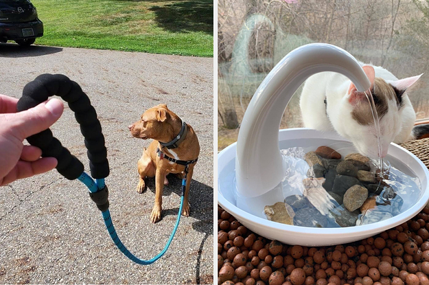 a reviewer holding their dog on a blue leash and a reviewer's cat drinking from a white fountain
