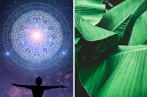 Zodiac sign and plants