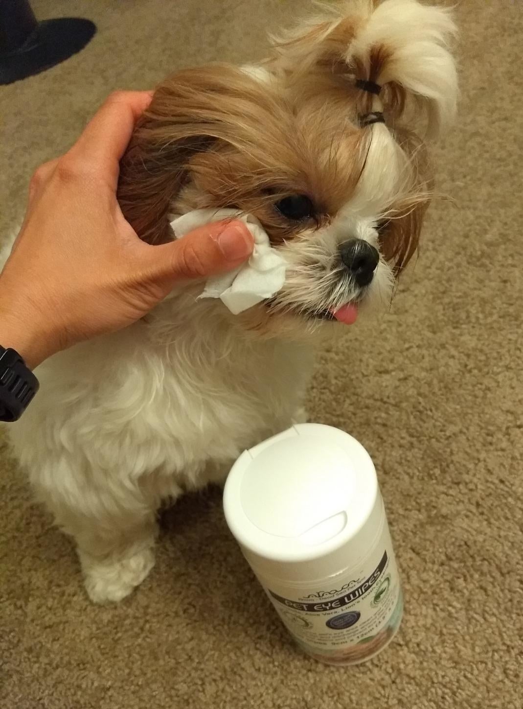 a reviewer using the wipe on their dog&#x27;s eye