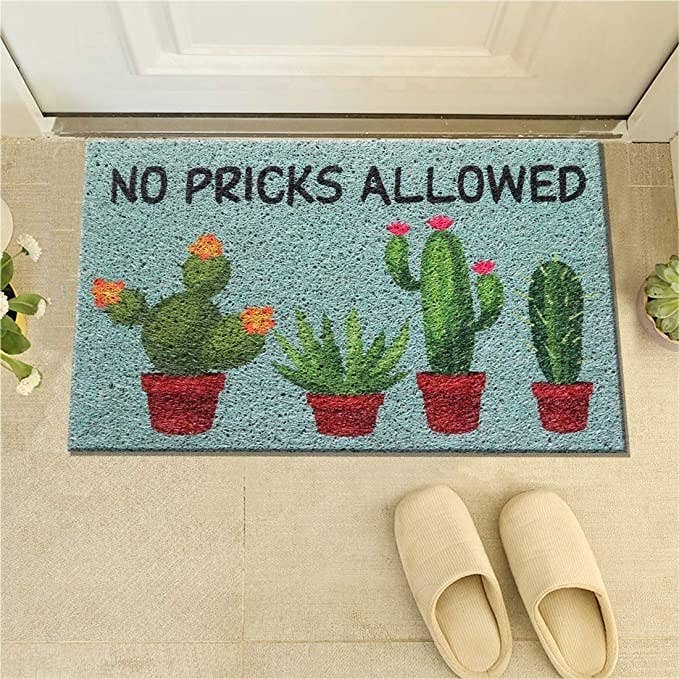 Door at with cacti print and the words ‘No pricks allowed’ printed on it.