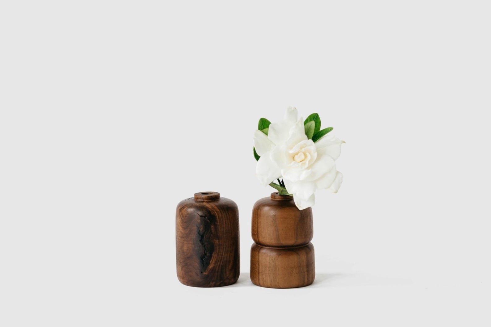 the two vases