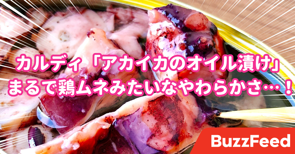 カルディの 249円おつまみ に驚愕 ごろっごろ入ったイカの やわらかさ が衝撃的です