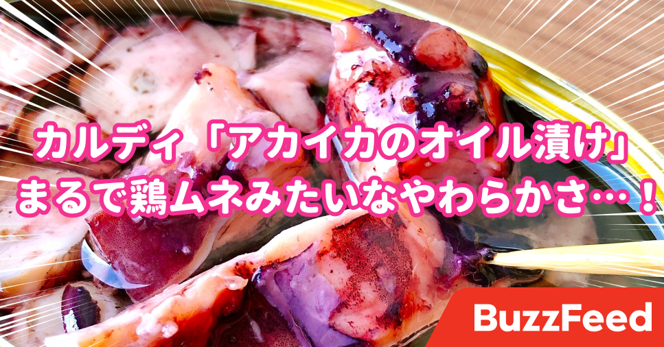 カルディの 249円おつまみ に驚愕 ごろっごろ入ったイカの やわらかさ が衝撃的です カルディの 249円おつまみ に驚愕 ごろっごろ入ったイカの やわらかさ が衝撃的です